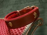 Collier Lion Rhodesian Ridgeback