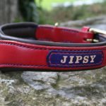 collier chien personnalisé