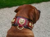 Collier chien impérial - LE MOLOSSE