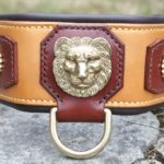 COLLIER MOLOSSE OR ET HAVANE_5