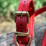 collier laisse Schnauzer Atelier Napoléon