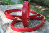 Collier & laisse rouge Scottish, Schnauzer