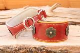 Collier large pour chien & lévrier - IRISH argenté