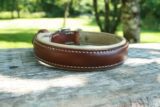 Notre collier chien en cuir - GENTLEDOG