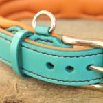anneau porte médaille sur collier en cuir pour chien