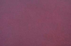 Cuir prune