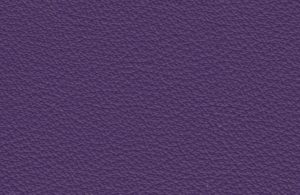 Doublure standard violet