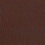 marron kaki extreme