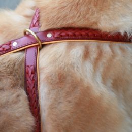 Harnais en cuir tressé