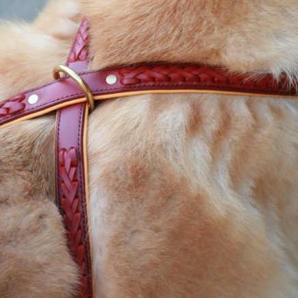 Harnais en cuir tressé